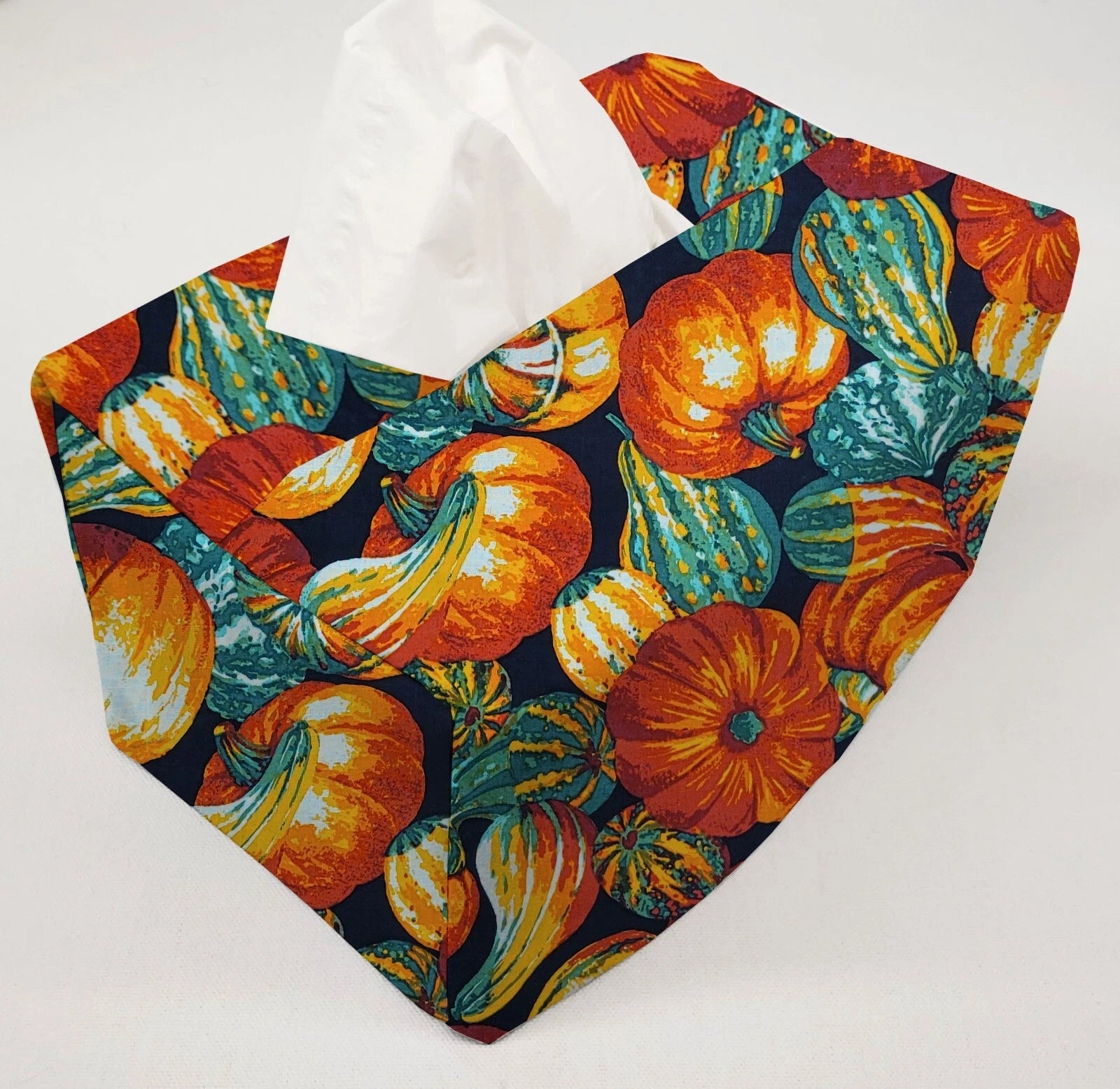 Pumpkins & Gourds Tissue Box Cover (2 Patterns Available) | eBay