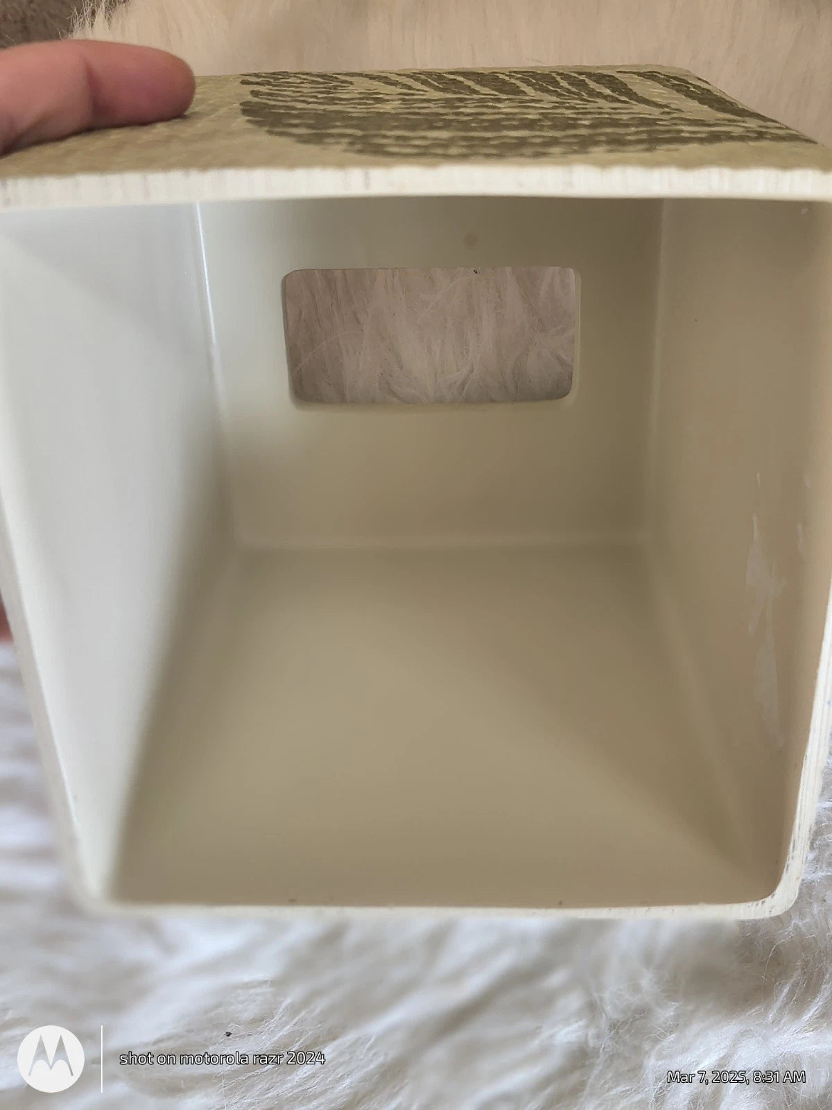 Tommy Bahama Home Montauk Drifter Green Tissue Box Cover Palm Leaf 6.5” X 5.5” | eBay