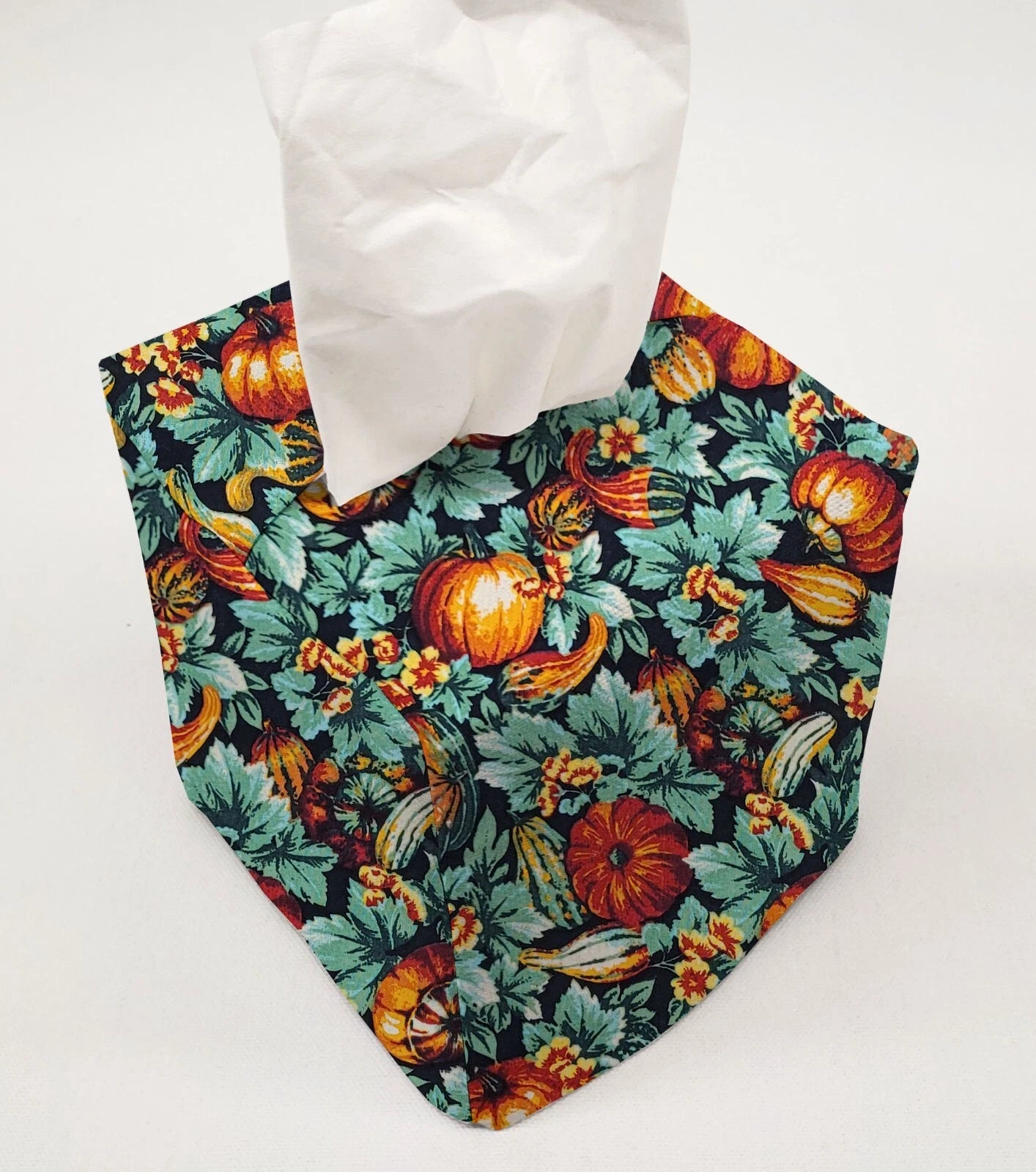 Pumpkins & Gourds Tissue Box Cover (2 Patterns Available) | eBay