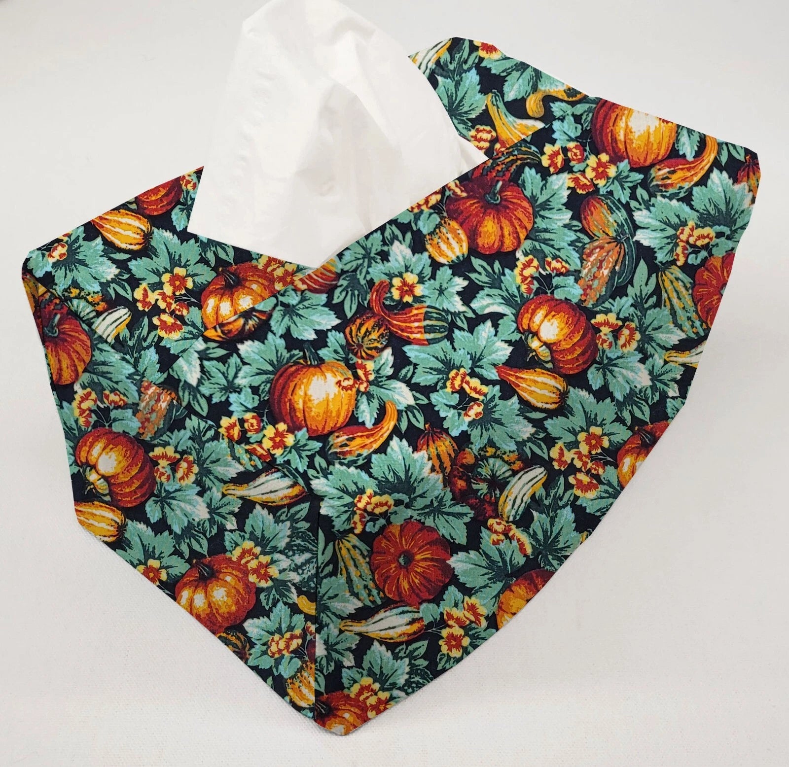 Pumpkins & Gourds Tissue Box Cover (2 Patterns Available) | eBay