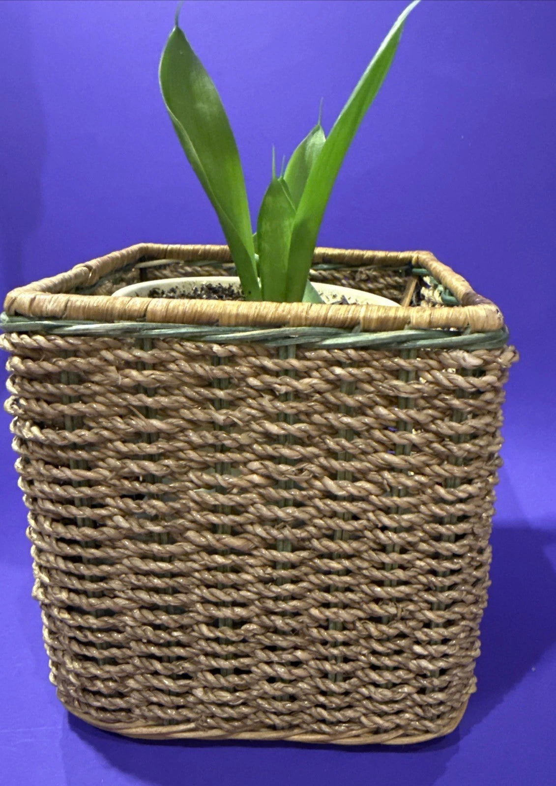 Square Natural Woven Wicker Green Detail Tissue Box Holder Plant Boho Retro G’ma | eBay