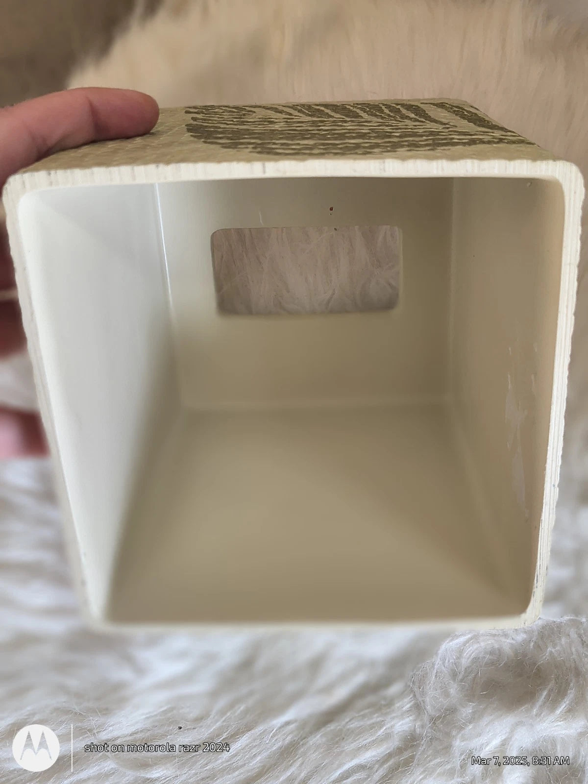 Tommy Bahama Home Montauk Drifter Green Tissue Box Cover Palm Leaf 6.5” X 5.5” | eBay