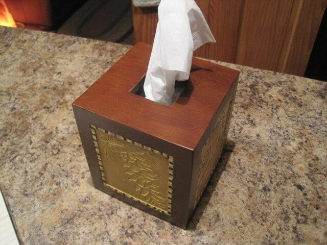 BLONDER HOME ADIRONDAK PINE TISSUE BOX SQUARE RESIN NEW | eBay